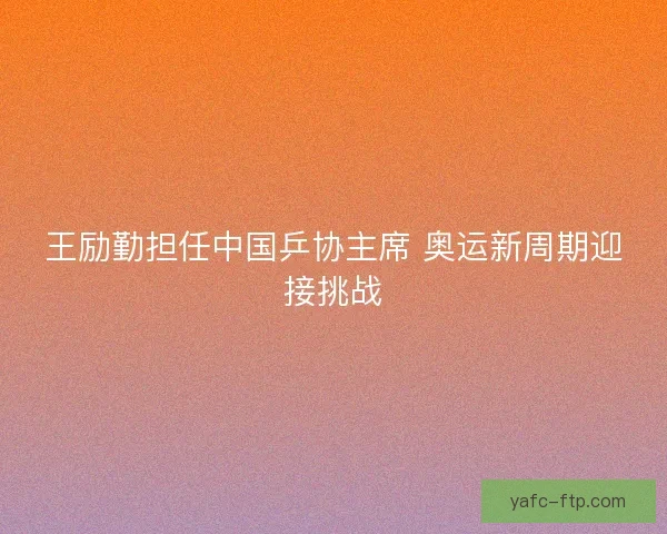 王励勤担任中国乒协主席 奥运新周期迎接挑战