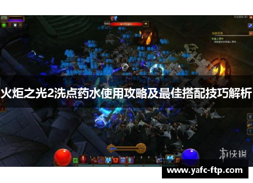 火炬之光2洗点药水使用攻略及最佳搭配技巧解析
