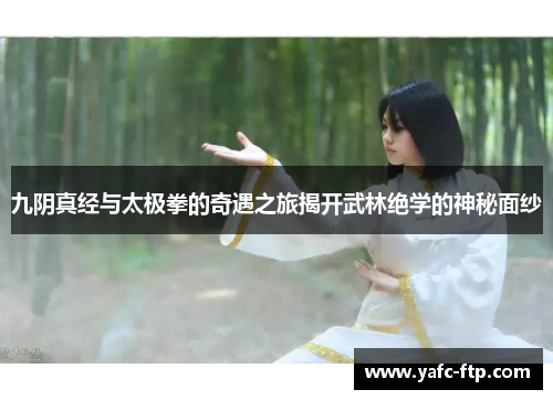 九阴真经与太极拳的奇遇之旅揭开武林绝学的神秘面纱
