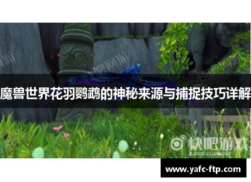 魔兽世界花羽鹦鹉的神秘来源与捕捉技巧详解