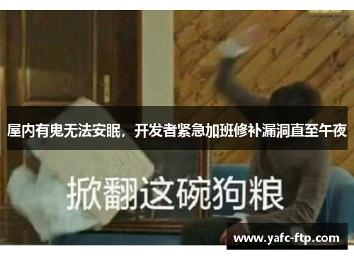 屋内有鬼无法安眠，开发者紧急加班修补漏洞直至午夜